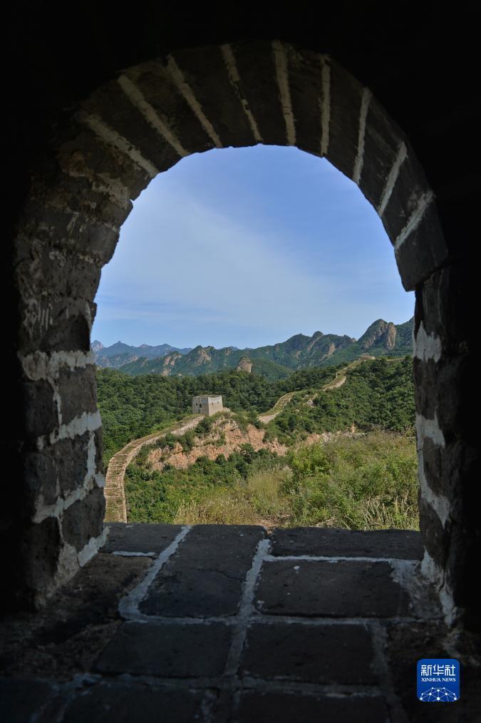 跟梅高美一样的游戏网